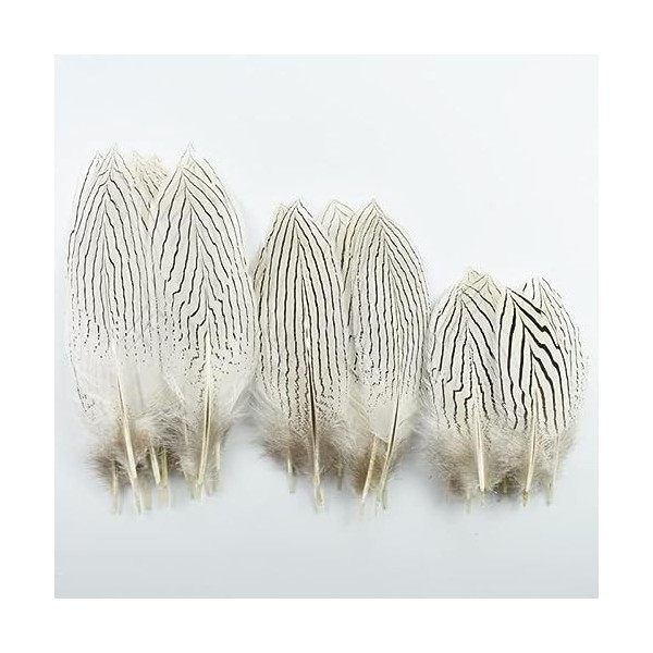 LUCEO Plumes de Faisan argentées for Artisanat 10-25cm 4-10" Dream Catcher Plumes Décor de Plumes de Faisan Blanc