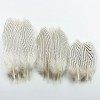 LUCEO Plumes de Faisan argentées for Artisanat 10-25cm 4-10" Dream Catcher Plumes Décor de Plumes de Faisan Blanc