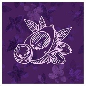 Aussie 3 Miracle Oil Smooth Traitement léger 100 ml