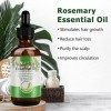 Rosemary Oil 60ML Huile de Romarin pour Cheveux Sourcils Et Cils, Huile Essentielle Romarin pour Peaux et Massages De La Peau