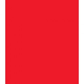 Rouge Edition Lipstick 10-Rouge Buzz 3.5 Gr