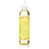 Aunt Jackies Girls E-Blast Reparation du Cuir Chevelu Vitamine E et Graines de Lin Oil Spray 8 Oz