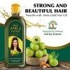 Dabur Amla Huile dor des Cheveux 300 ml