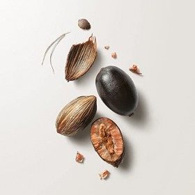 NATURA - Huile Réparatrice Ekos Pataua - Pour Cheveux Fins et Fragiles - Protège les Cheveux, Répare les Pointes Fourchues - 