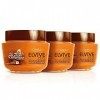 Elvive LOréal Paris Elvive Masque nourrissant pour cheveux secs ou éteints Huile Extraordinaire 300 ml Lot de 3 x 300 ml [90