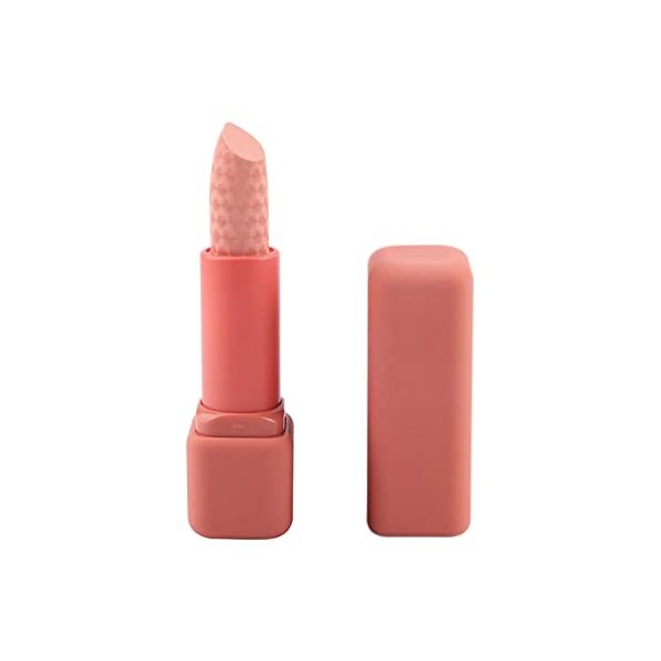 Avril Cosmétique Bio Rouge à lèvres avec à lèvres Maquillage Velours Longue durée Haute Pigment Nude imperméable Brillant à l