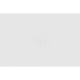 Paul Mitchell Awapuhi Huile de soin coiffante 150 ml