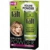 Schwarzkopf Taft Schwarzkopf Poudre pour cheveux instantanée 10 g