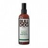 BULLDOG - Soin des cheveux pour homme | Spray de sel coiffant original | Tenue légère et finition texturée naturelle | 150 ml