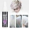 Laque pour Cheveux Blancs, Unisexe DIY Hair Color Spray Dye Couleur Salon de Modélisation Temporaire 30 Ml Blanc Air Mist J