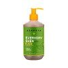 Savon pour les mains, Verveine, 12 fl oz 354 ml - Tous les jours Shea