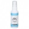 50 Ml Sea Spray, Seasalt Texture Hairspray, Hair Texturizing Spray, Sea Salt Spray Produits de Soins Capillaires pour des Vag