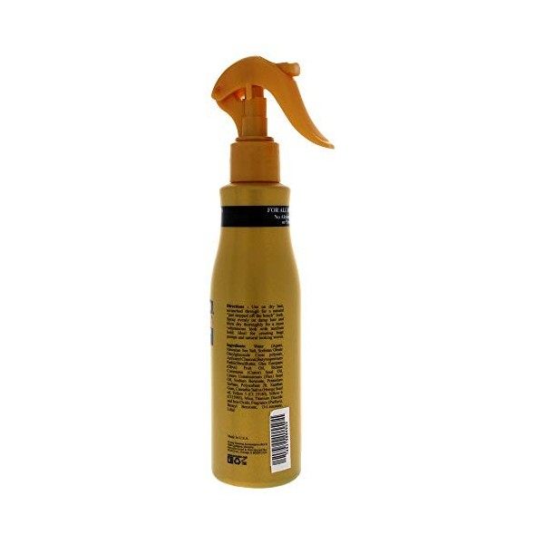 Ecoco Style Spray Salin Texturant Ecoplex pour Capillaire Unisexe 8 oz