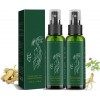 KORTIN Lot de 2 sprays de régénération pour cheveux au ginseng coréen - Sérum de repousse des cheveux au gingembre - Essence 