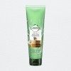 Herbal Essences Après Shampoing sans Sulfates Aloe Vera/Huile d’Avocat 180 ml