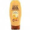 Garnier Mélanges entiers réparation trésors de miel conditionneur, cheveux abîmés 12,5 fl oz 1 Count Honey Conditioner Trés