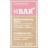 Love Bar - Après-Shampoing Solide Réparation & Nutrition à lArgan et au Gingembre - Cheveux Secs et Abîmés 2 x 30 gr 