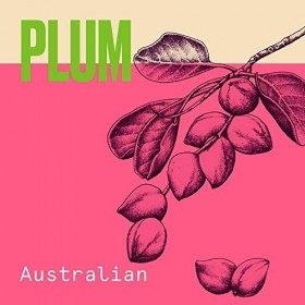 Aussie, Aussome Volume Après-shampoing, Après-shampoing Volumateur, Pour Cheveux Plats qui Manquent De Volume, À La Prune DA