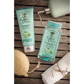Le Petit Olivier - Après-Shampooing Soin Purifiant - Aloe Vera & Thé Vert - Cheveux Normaux à Gras - Fabriqué en France - Tub