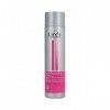 Londa Color Radiance Après-shampoing, 1er Pack 1 x 250 ml 