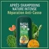 Le Petit Marseillais Après-Shampooing Infusion Nutrition, Cheveux Secs et Abimés, Infusion de Calendula BIO & Huile dArgan B