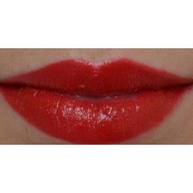 NYX Cosmetics Xtreme Lip Cream Spicy
