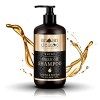 Shampooing Argan Deluxe pour femme et homme – Soin capillaire à l’huile d’argan pour cheveux secs, abîmés et lisses de qualit