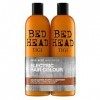 Bed Head by Tigi Colour Goddess shampooing et après-shampooing pour cheveux colorés, lot de 2x750 ml & Urban Antidotes Resurr