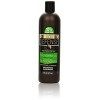 Quotidien Défense Macadamia Huile Shampooing + Après-shampooing 473 ML - Grand, Sain et Brillant Cheveux