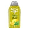 Le Petit Marseillais Shampooing Purifiant, Cheveux Regraissant Vite, Feuilles dOrtie BIO & Citron BIO - 250 ml