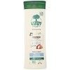 Larbre vert Shampooing Douceur pour Toute la Famille 250 ml