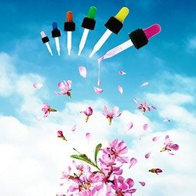 Year of Plenty Gouttes pour les yeux 5 ml et 15 ml pour huiles essentielles Multicolore 12 15ml droppers & 12 5ml droppers