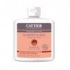 Cattier Shampooing Cheveux Gras Vinaigre de Romarin 250 ml Lot de 2