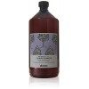 Davines Ntech Shampooing apaisant 1000 ml