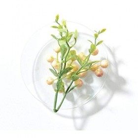 Schwarzkopf Blond me All Blondes Light Shampooing 300 ml