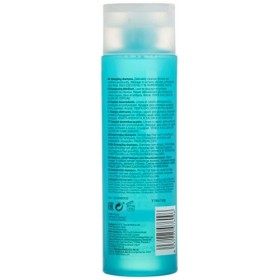 Revlon Equave Hydro Shampooing Démêlant, Lot de 1 1 x 250 ml 