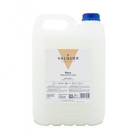 Valquer Professional Shampooing Spécial dAmandes pour Coiffure Shampooing professionnel Shampooing Garrafa-5000ML