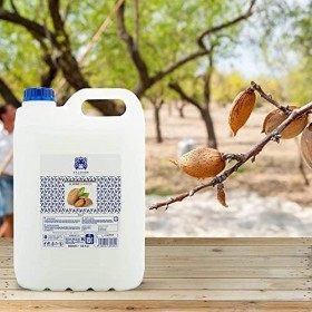 Valquer Professional Shampooing Spécial dAmandes pour Coiffure Shampooing professionnel Shampooing Garrafa-5000ML