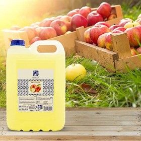 Valquer Professional Special Apple Shampooing pour Coiffure Shampooing pour Professionnel Carafa, 5000 ml