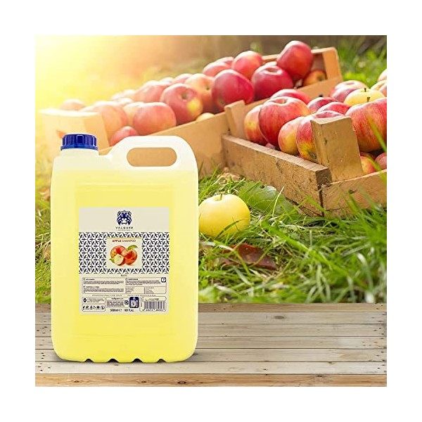 Valquer Professional Special Apple Shampooing pour Coiffure Shampooing pour Professionnel Carafa, 5000 ml