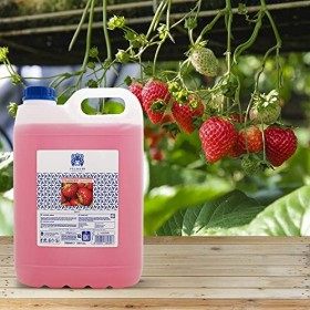 Valquer Profesional Nouveau Shampooing Spécial Fraise pour Coiffeurs. Shampooing Professionnel - 5000 ml
