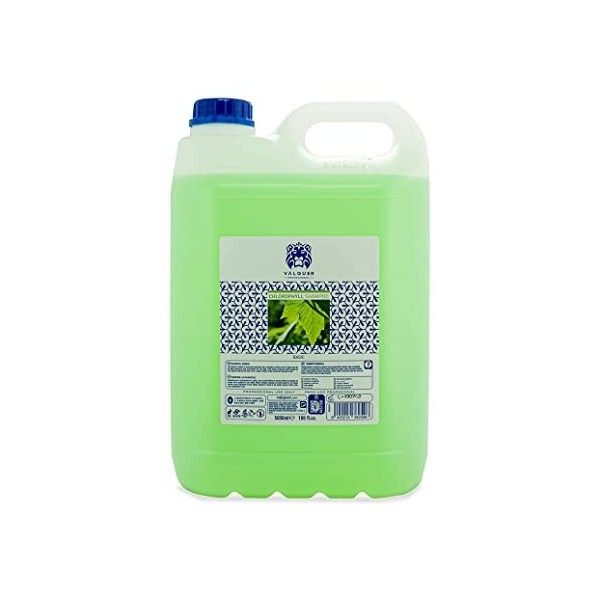 Valquer Profesional Special Chlorophylle Shampooing pour Coiffure Professionnel Carafa, 5000 ml