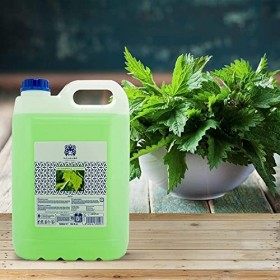Valquer Profesional Special Chlorophylle Shampooing pour Coiffure Professionnel Carafa, 5000 ml