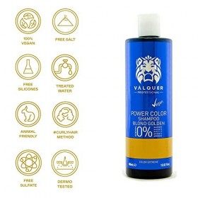 Valquer Professional Shampooing Power Color Cheveux Teints. Végétalien et sans Sulfate Cheveux Blonds Dorés . Hair Color Enh