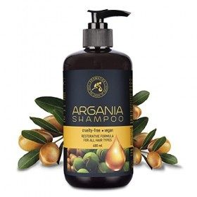 Shampooing Huile de Argane 480ml - avec de lhuile dargan Naturelle et des Extraits dherbes pour tous les Types de Cheveux 