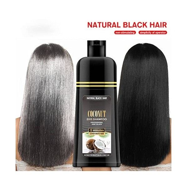 Shampooing Cheveux Noirs, Shampooing Cheveux Noirs, Coco Et Gingembre Rapide Cheveux Noirs Colorant Pour Cheveux For 500 Ml S