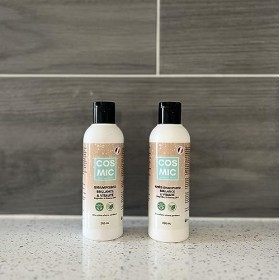 Duo Shampoing+Après-shampoing Naturels Fortifiant Brillance - Gingembre+Ginseng BIO - Anti Chute et cheveux clairsemés, Stimu