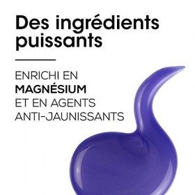 LOréal Professionnel Série Expert Silver Shampoing Violet Déjaunisseur pour Cheveux Blancs et Gris 300ml