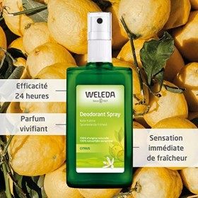 WELEDA - Déodorant au Citrus - Sans Sels dAluminium - Efficacité Renforcée - Vaporisateur Verre 100 ml