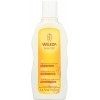 Weleda Oat Replenishing Shampoo For Dry and Damaged Hair 190ml/6.4oz by Weleda